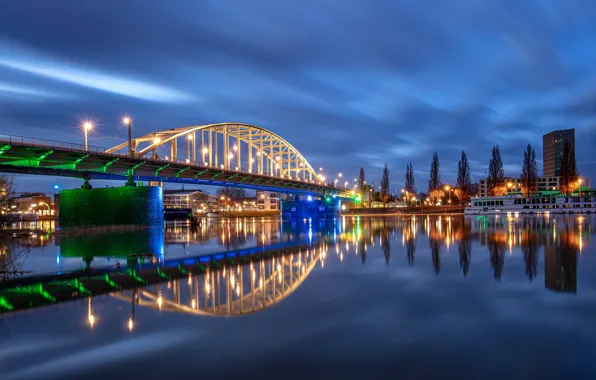 Picture the sky, water, trees, bridge, lights, reflection, river, home