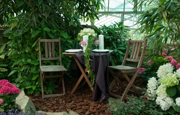 Candles, Plants, Chairs, Flowers, Garden