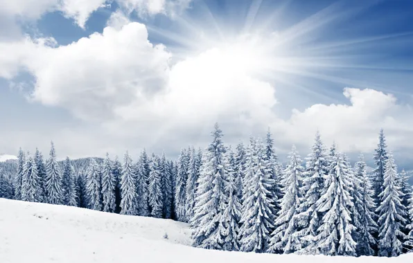 Winter, the sky, the sun, clouds, snow, trees, mountains, ate