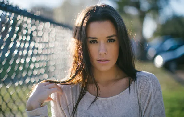 Picture girl, mesh, the fence, brunette