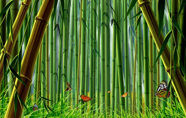 Grass, butterfly, bamboo