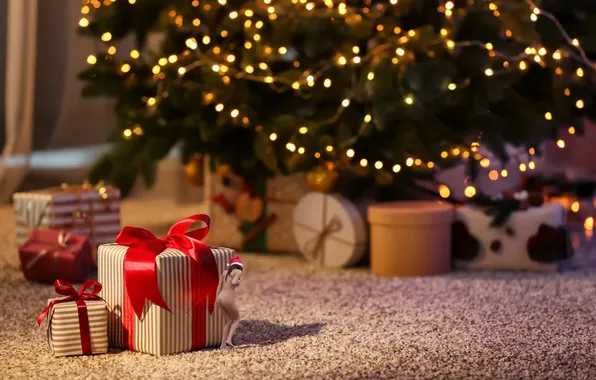 Girl, tree, gifts, items