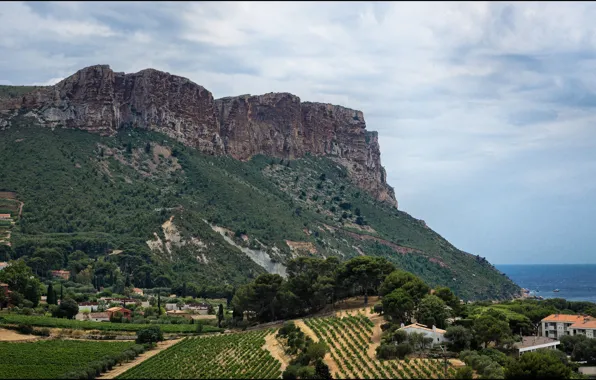 Picture France, panorama, panorama, France, Cassis, Cassis