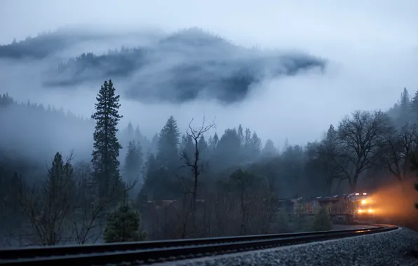 Picture forest, fog, morning, railway.train
