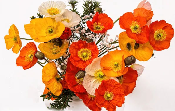 Maki, bouquet, petals