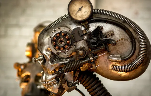 Picture background, mechanism, robot