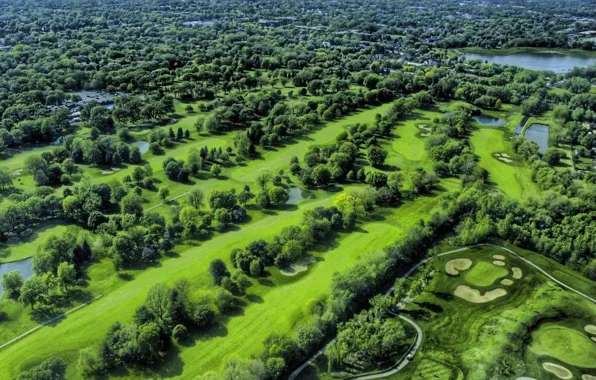 Trees, field, Landscape, Golf, ponds