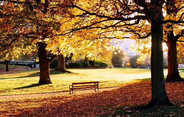 Picture autumn, grass, leaves, trees, bench, nature, Park, lawn