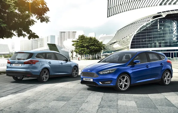 Picture Ford, Focus, 2014, Ford. focus