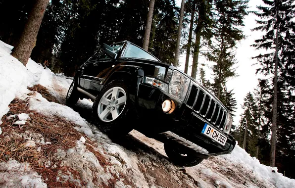 Forest, snow, trees, Jeep, Commander
