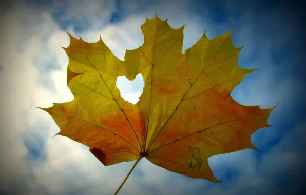 The sky, leaves, yellow, mood, heart, leaf, leaf, heart