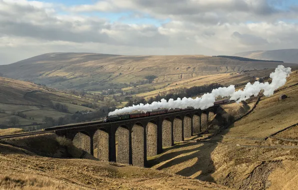 Landscape, bridge, train