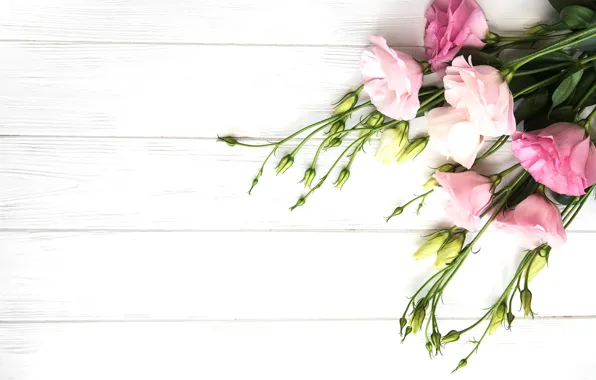 Flowers, bouquet, buds, eustoma, Olena Rudo