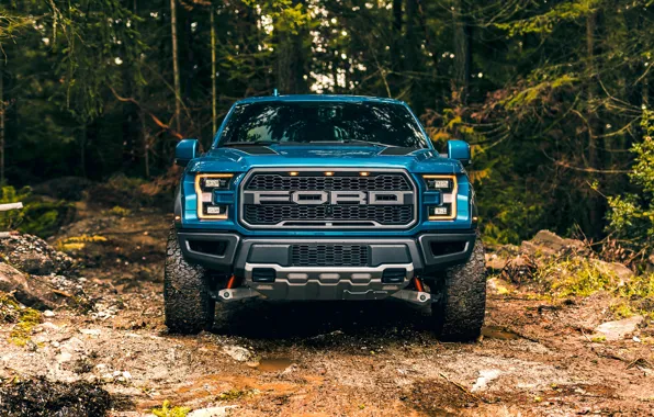 Picture Ford, Ford, Pickup, Raptor, F-150, Picup, Ford F-150 Raptor