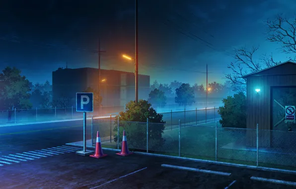 Night, the city, road