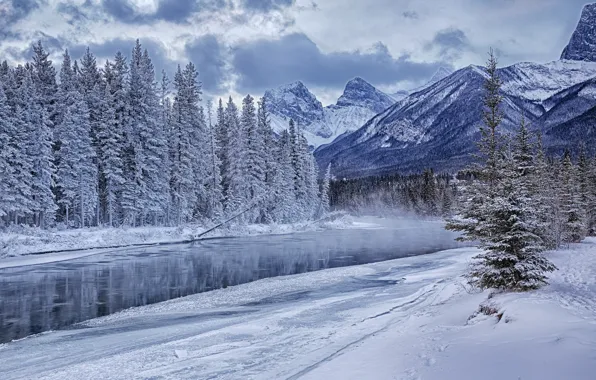 Picture ice, winter, forest, snow, mountains, river