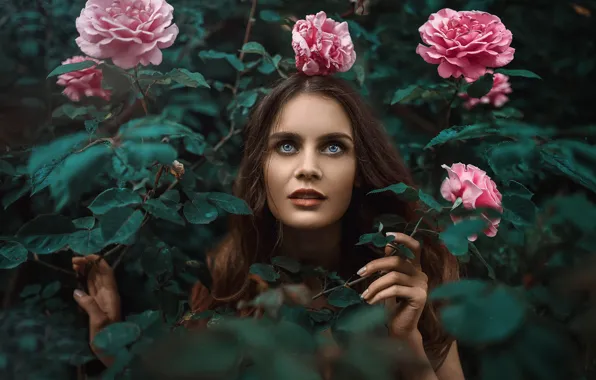 Picture girl, portrait, roses, Turkey, Kᴬᴬᴺ ᗩᴸᵀᴵᴺᴰᴬᴸ, Kaan Altinda!