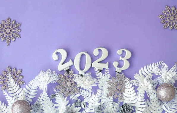 Leaves, flowers, snowflakes, silver, figures, New year, fern, date