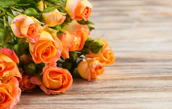 Picture orange, table, roses, THE OFF