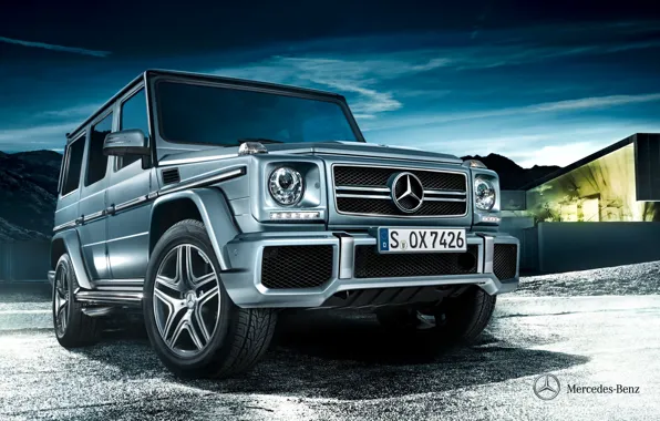 Mercedes-Benz, 2012, Mercedes, g, Gelandewagen, G-class, w463, Stationwagon