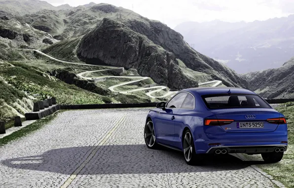 Picture blue, Audi, coupe, back, Audi A5, Coupe, Audi S5, 2019