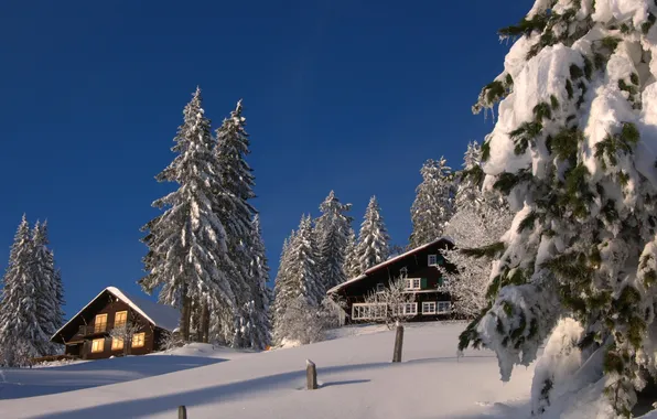 Picture snow, trees, mountains, house, home, slope, snowy