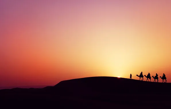 Sunset, desert, desert, sunset, camels, the Bedouins, camels, bedouins