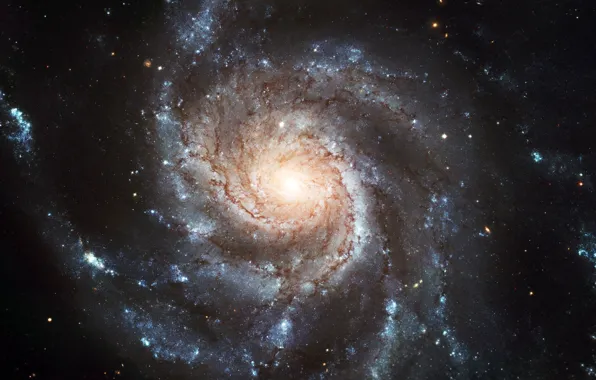 Picture stars, spiral, Galaxy