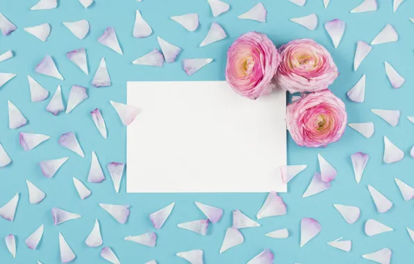 Flowers, Pink, petals, pink, buds, Blue, blossom, flowers
