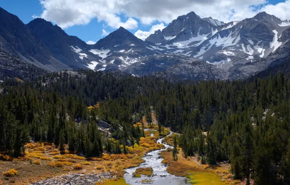 Picture forest, the sky, clouds, snow, trees, stream, stones, Mountains