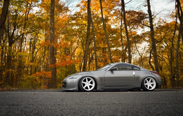 Grey, tuning, nissan, profile, 350z, Nissan, tuning, stance