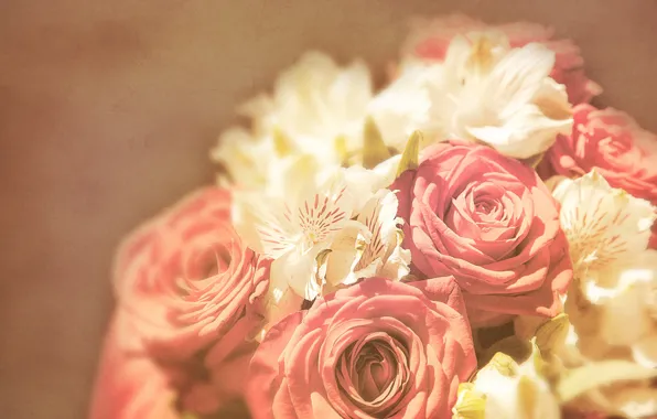 Picture light, background, roses, bouquet