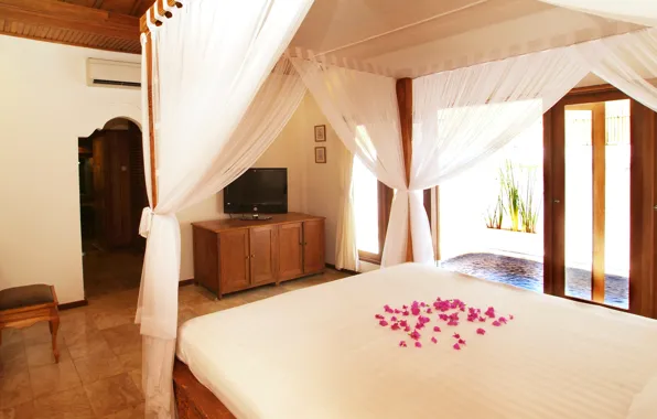 Bed, petals, TV, window, table, bedroom, tent