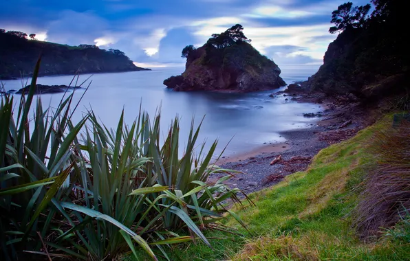 Sea, landscape, night, nature, shore