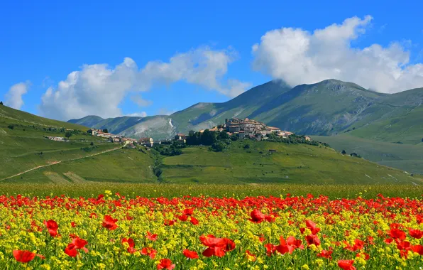 Field, flowers, mountains, Maki, home, meadow, Italy, the village