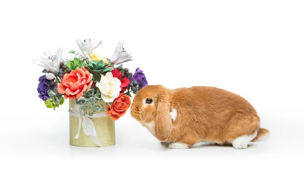Flowers, basket, rabbit, Easter, happy, rabbit, flowers, spring