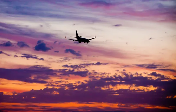 Picture the sky, clouds, flight, sunset, height, the evening, The plane, passenger