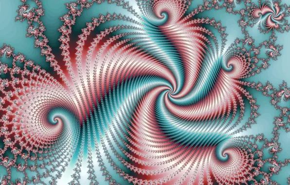 Picture flowers, pattern, feathers, petals, contrast