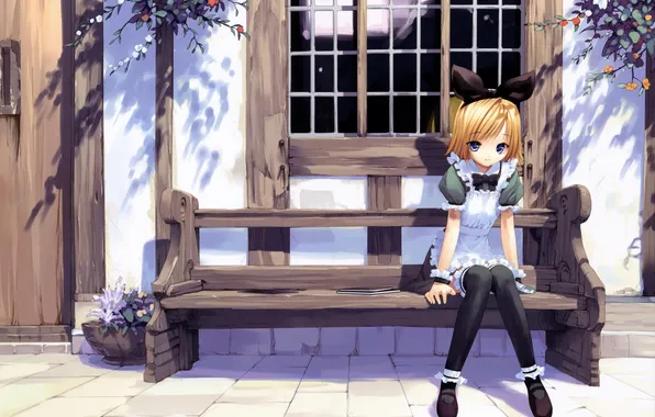 Trees, bench, the city, house, shop, girl, ueda ryou