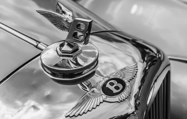 Picture macro, retro, Bentley, grille, emblem