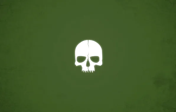 Skull, minimalism, green background