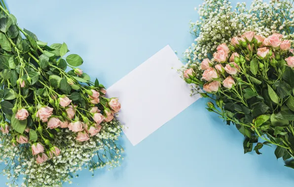 Flowers, background, roses, bouquets