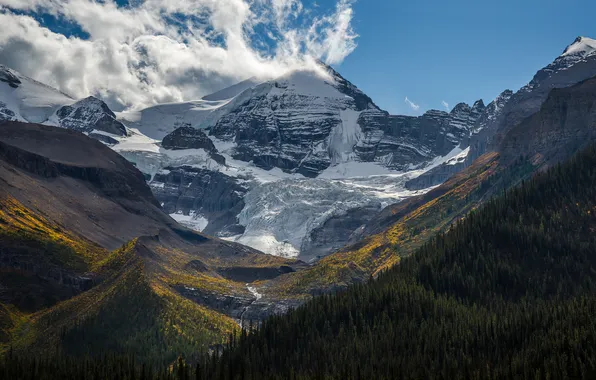 Autumn, forest, the sky, clouds, snow, mountains, blue, rocks
