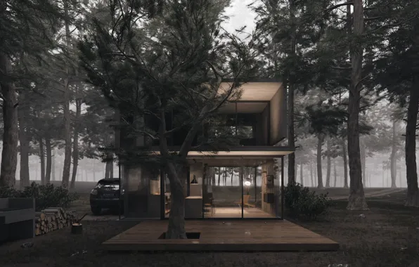 Forest, design, wood, car, structure, H3 house