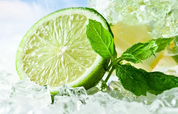 Ice, lime, mint