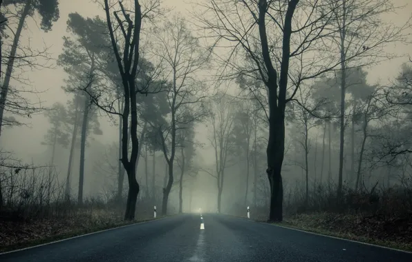 Road, autumn, trees, branches, fog, Park, overcast, highway