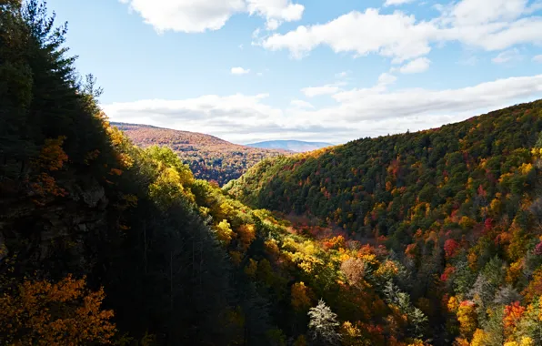 Picture autumn, forest, the sky, clouds, trees, mountains, Nature, forest