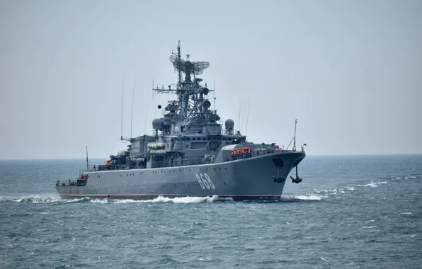 Ship, the black sea, guard, inquisitive