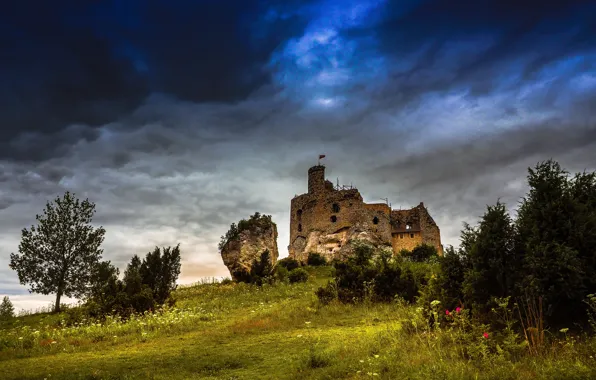 Picture Silesia, Amazing Castle, Mirow, Municipality Negova, Wildness of roses