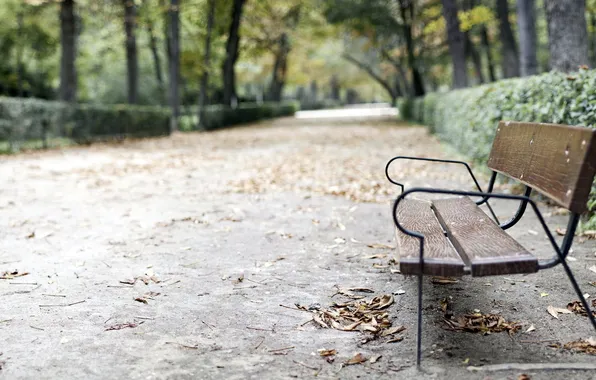 Picture autumn, the city, Park, bench